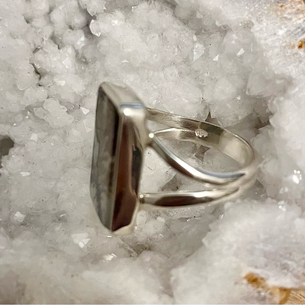 Scenic Dendritic Agate Solid Sterling Silver Ring… - image 4